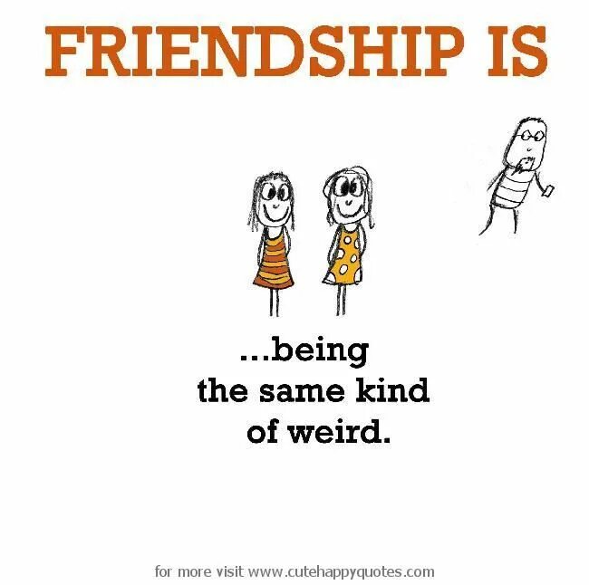 Friendship is. Funny quotes about friends. Weird friends.