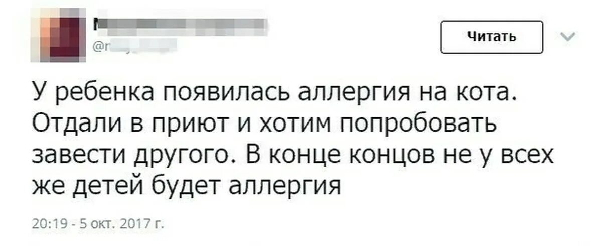 Завели другое дело. Аллергия на кота сдать ребенка в детский дом. Прикол Сдай ребёнка в детский дом. Не завожу детей у моего кота аллергия. Детдом Мем.