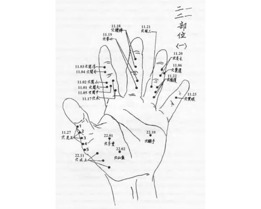 Точки тонга. Акупунктура tr3. Юн ли акупунктура мастера тонга. Схема меридианов на теле человека акупунктурные точки. Юн ли акупунктура мастера тонга.