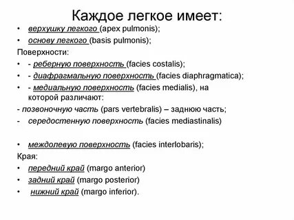 Легко основа