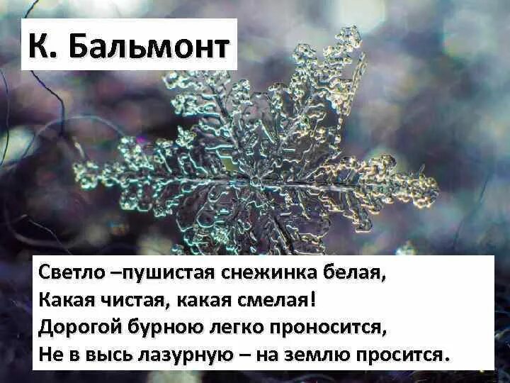 Стихотворение константина бальмонта снежинка. Бальмонт светло-пушистая снежинка. Дорогой бурною. Литературное чтение учебник 3 класс стихотворение снежинка. Учебник литературное чтение 2 класс стихотворение снежинка.