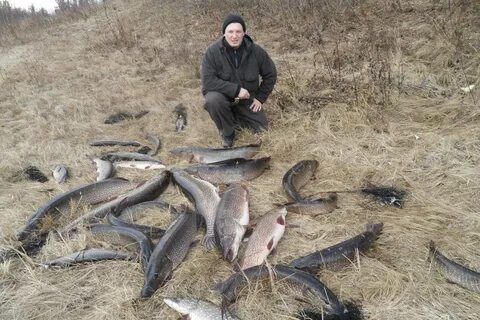 Погода сыня республика