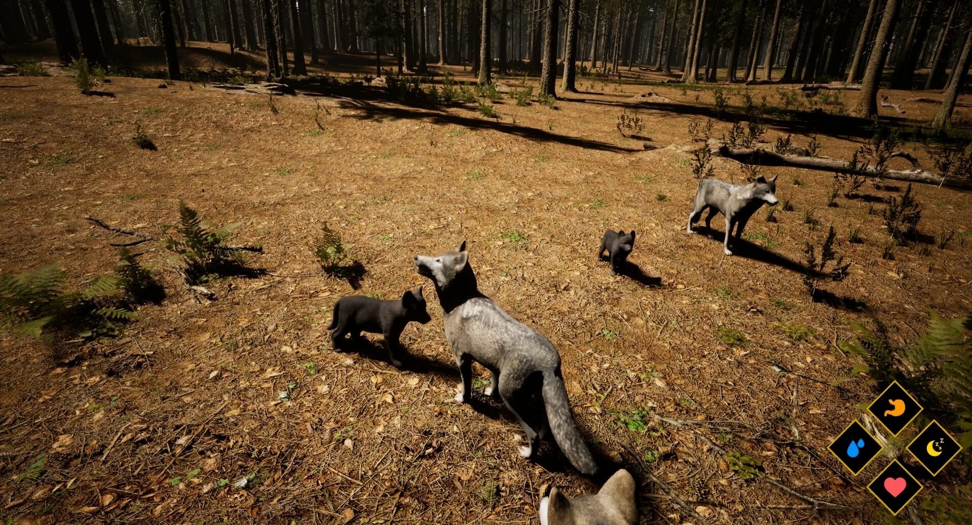 Игра про лису на икс бокс. Into the wild игра. Кабелас дангероус хантс 2013. Игры на природе. The wilds игра на пк.
