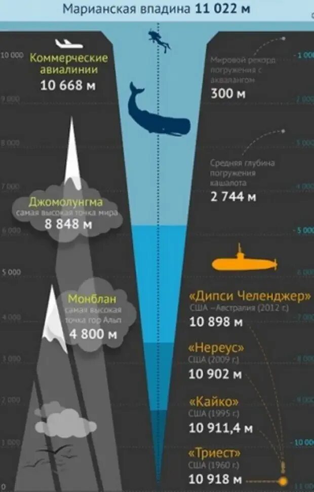 Марианская впадина схема глубины. Глубина Марианской впадины в километрах. Глубина Марианской впадины в метрах. Марианская впадина глубина обитатели. Максимальная глубина выштынца