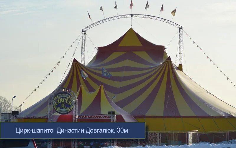 Цирк Виват Калининград. Цирк шопито шатёр. Купол цирка шапито. Цирк шапито купол цирка.