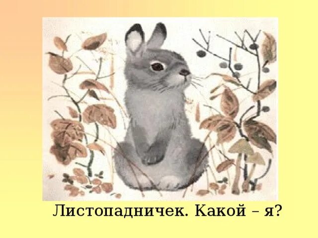 Жанр произведения листопадничек. Листопадничек соколов-микитов. иллюстрация к сказке листопадничек соколова микитова. листопадничек скребицкий. соколов митков листопадничек 3 класс.