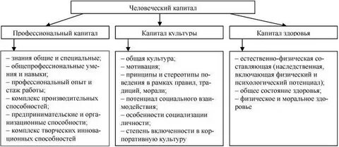Уровни человеческого капитала