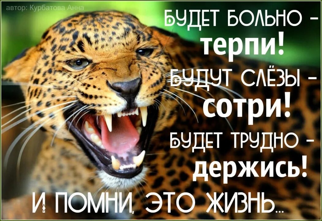 Мне не больно я терплю. Будет трудно держись Помни жизнь это жизнь. Будет больно терпи будут слёзы. Будет трудно держись будет больно терпи. Если будет трудно держись ,если будут слезы Сотри.