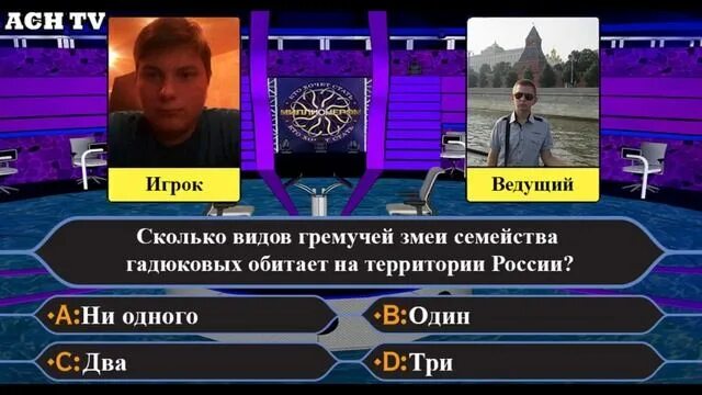 Как стать миллионером 2025. Кот хочет стать миллионером.