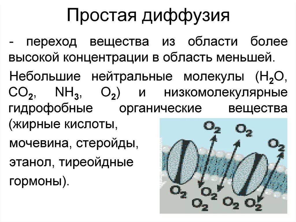 Диффузный определение. Облегченная диффузия через мембрану. Простая и облегченная диффузия. Простая диффузия примеры. Простая диффузия вещества.