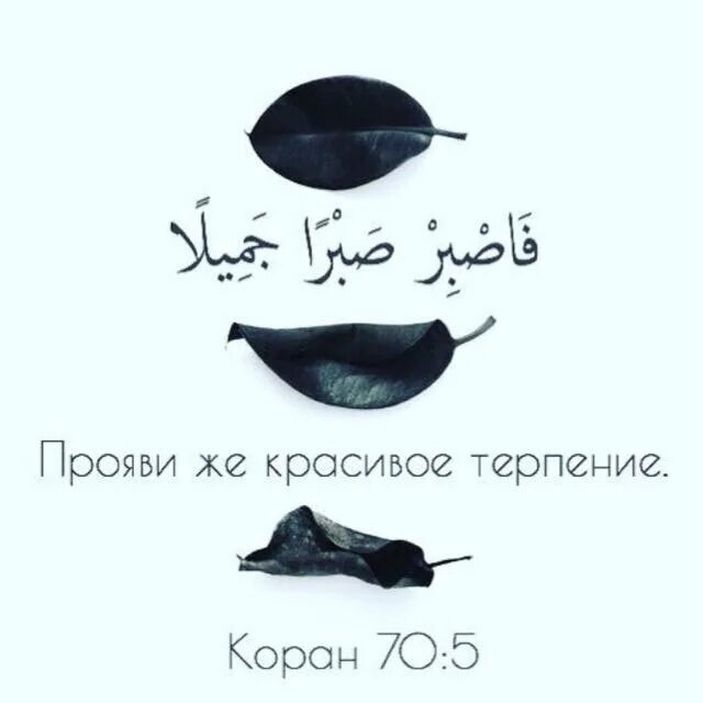 Проявиже красивое тепение. Прояви красивое терпение аят. Исламские обои терпение. Прояви терпение аят. Прояви же красивое терпение.