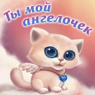 Мои картинки