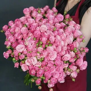 Леди бомбастик кустовая