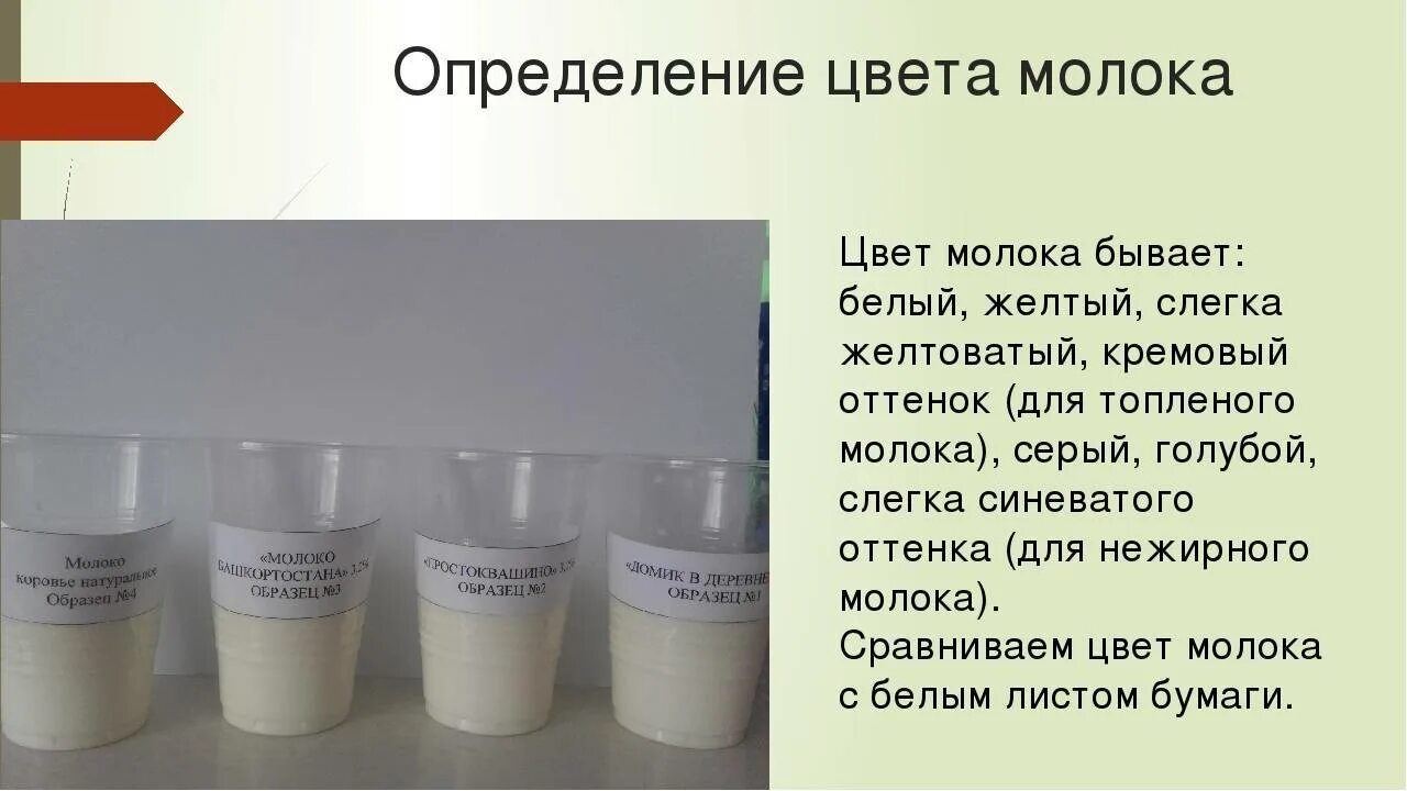 Оттенок молоко. Определение цвета молока. цвет коровьего молока. коровье молоко цвет.