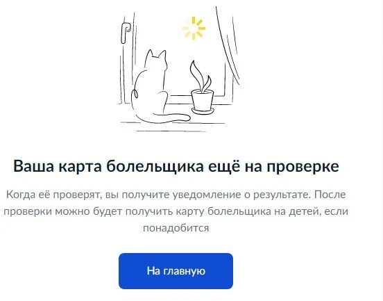 Карта болельщика ошибка. Карта болельщика госуслуги. ваша карта болельщика ещё на проверке. карта болельщика инструкция. карта болельщика ребенку.