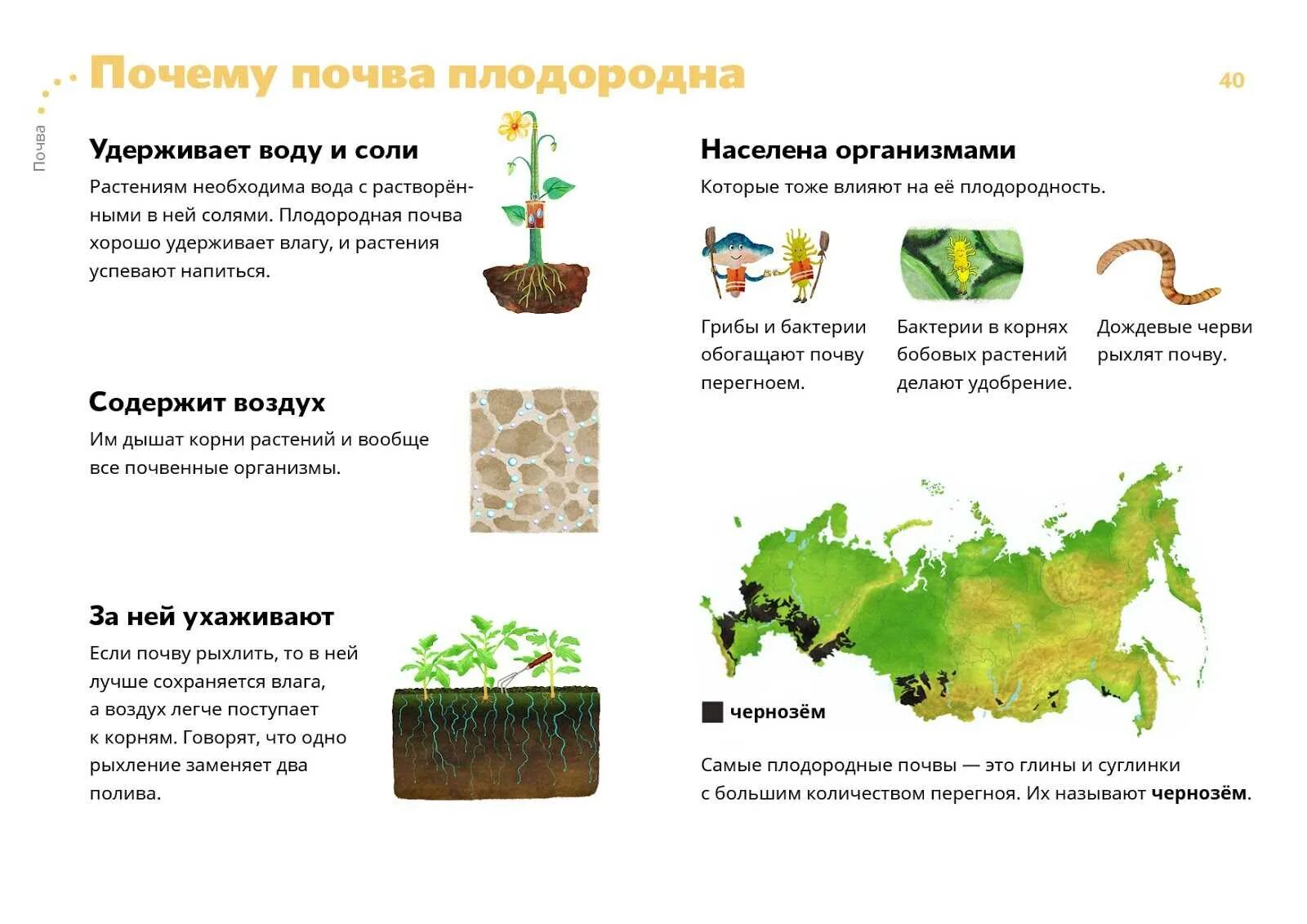 Сколько нужно чернозема