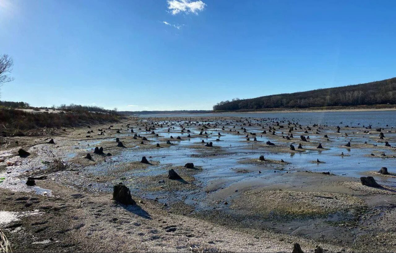 Краснооскольское водохранилище дамба. Дамба Старооскольское водохранилище. Оскол водохранилище. Оскольское водохранилище Украина. Водохранилище оскол