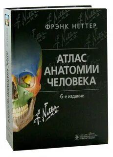Атлас неттер 7 издание