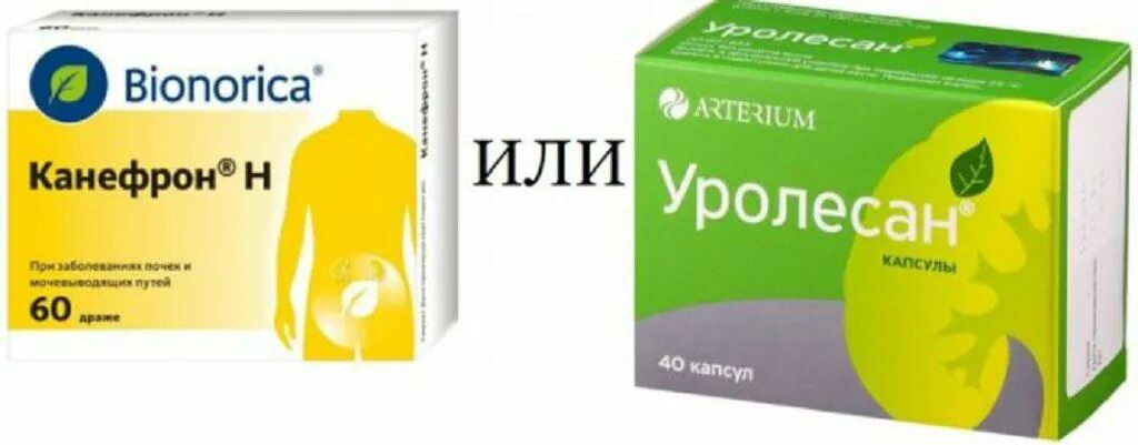 Цистон аналоги препарата. Канефрон или цистон что лучше при камнях. Канефрон или цистон. Аналог цистона. Препараты от цистита у женщин канефрон.