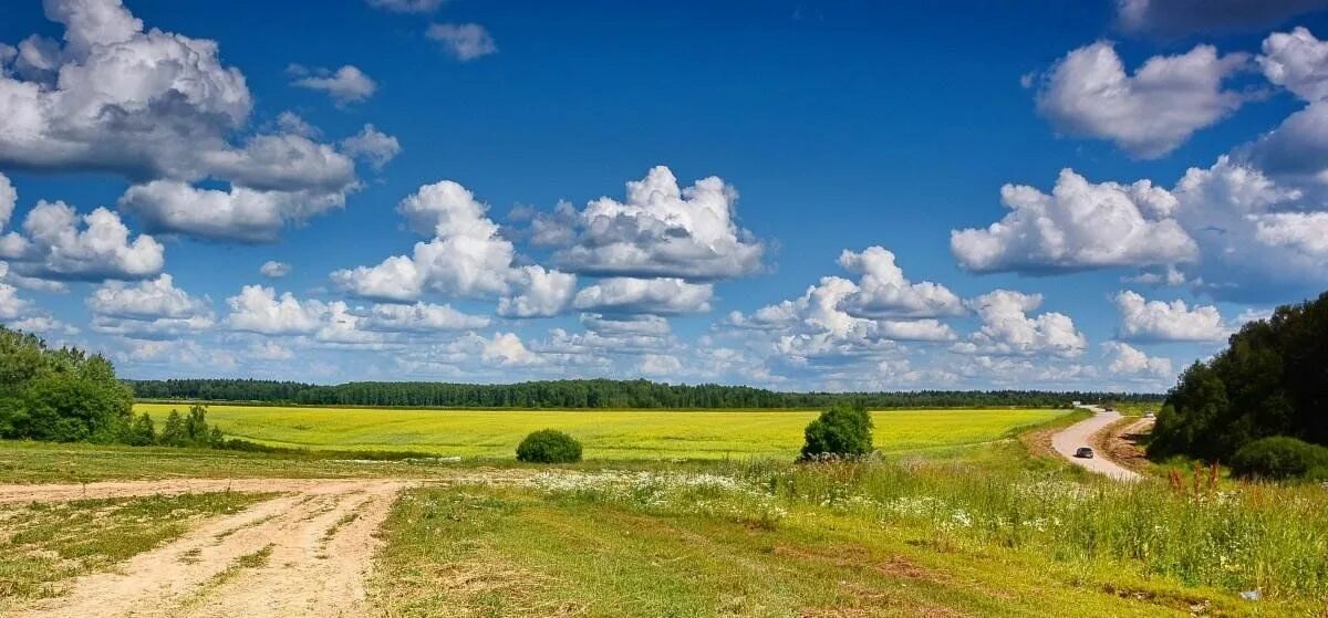 Тропами родного края. Россия Раздолье равнины. Что такое Приволье и Раздолье. Природа России Раздолье. Родные просторы Татарстан.