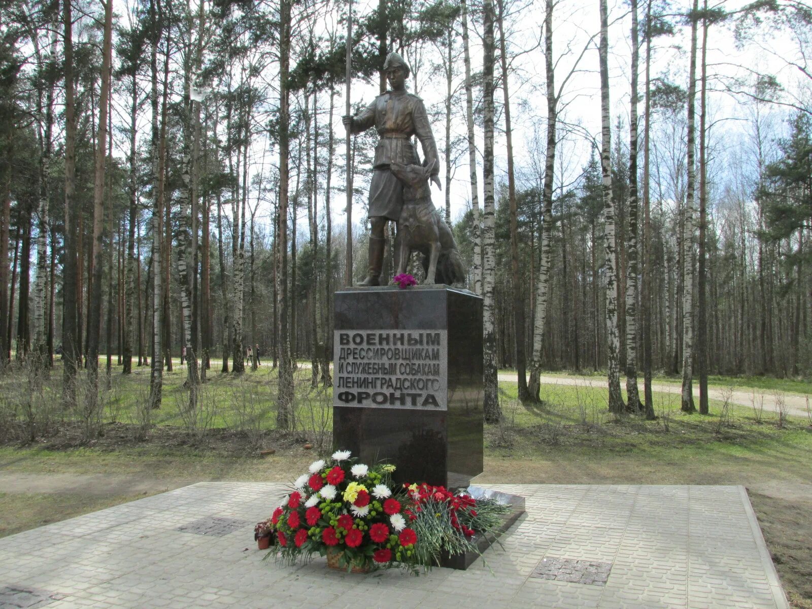 Монумент «девушка с цветком» на савушкина. Братское захоронение новая малукса. Памятники ленинградской. Памятник кирову в волхове. Памятник жукову в станице ленинградской.