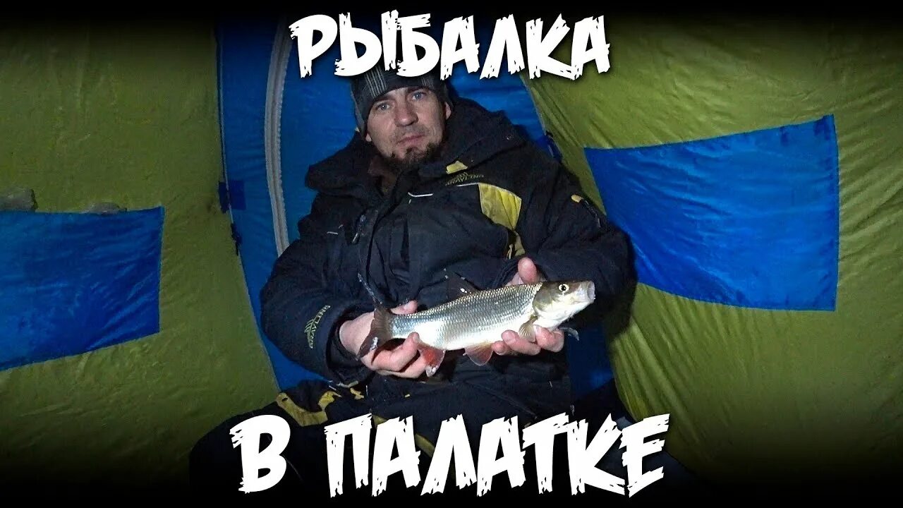 Рыбалка дикой тайге новое видео братья приходько. Братья приходько - рыбалка в дикой тайге. рыбалка в дикой тайге братья приходько 2025. братья приходько.
