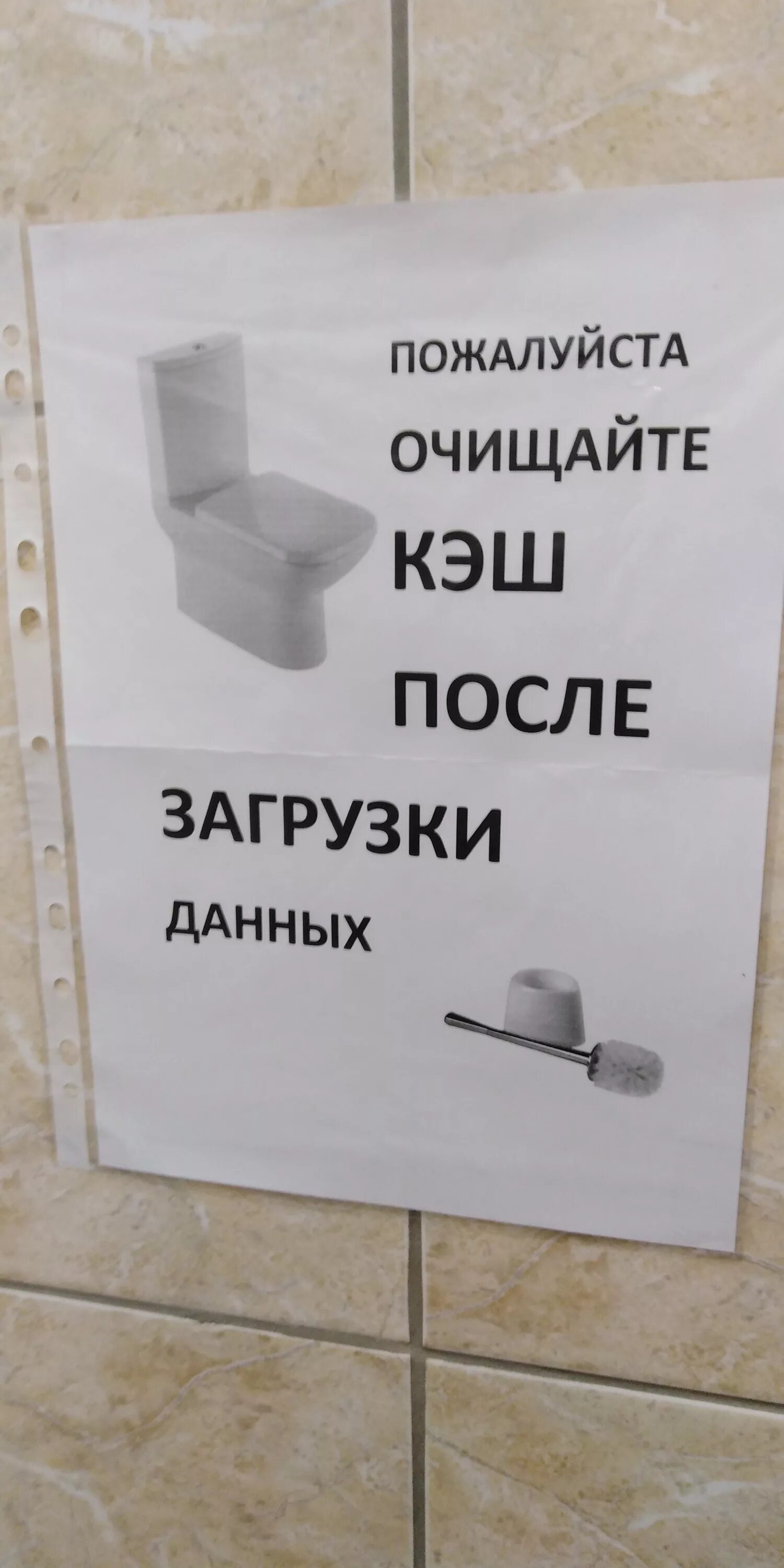 Кэш надо чистить. Пожалуйста очищайте кэш после загрузки данных. Пожалуйста очищайте кэш после загрузки данных туалет. Объявление в санузел. Ершик для унитаза объявление.