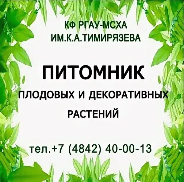 Питомник растений мсха им тимирязева