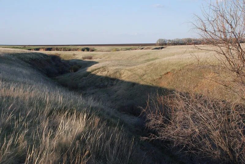 овраг большой лопатинский самарская область. дьяковский овраг. овраги самар районов. холмисто моренно эрозионный ландшафт в беларуси. овраг каменный печищи.
