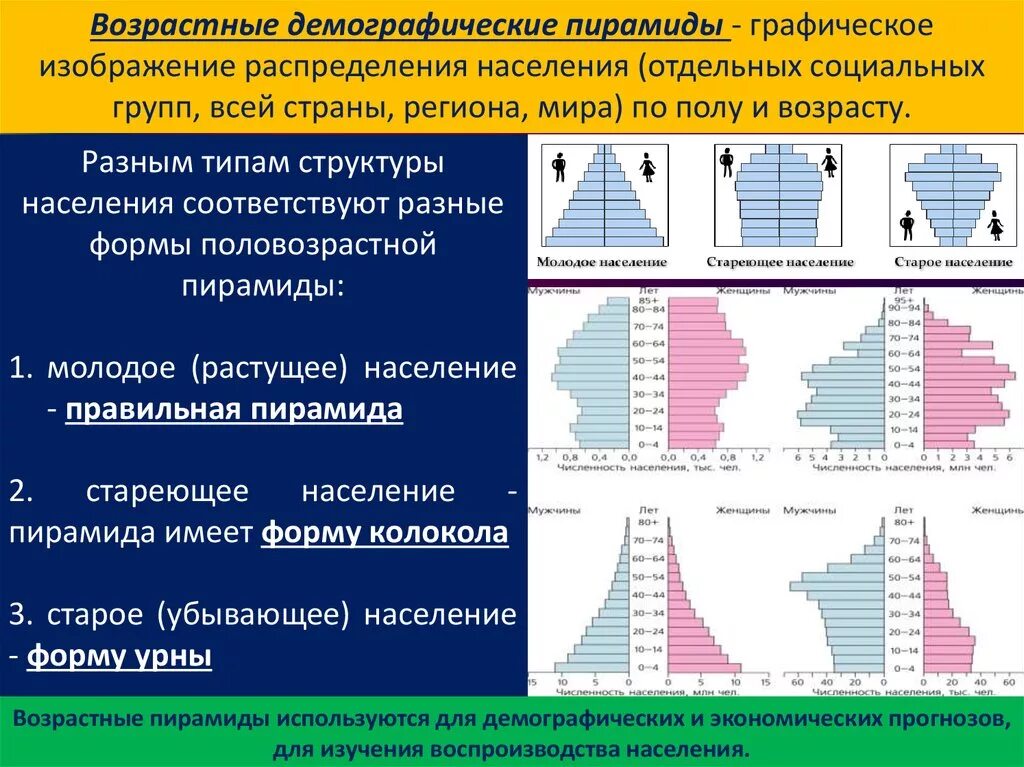 Особенности демографической группы. Половозрастная пирамида демографический кризис. Возрастная структура России пирамида. Демографическая пирамида России 2023. Возрастно половая пирамида типы.