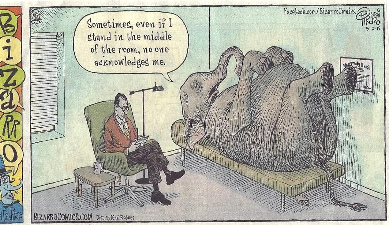 Elephant in the Room. Elefant in the Room. Elephant in the Room idiom. The Elephant in the Room карикатура.