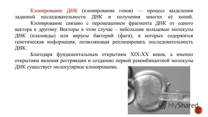 Дублирование потока данных. Клонирование и копирование. Клонирование это в генетике. Клонирование объектов java. Операции данных.