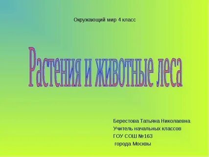 Растения леса 4 класс окружающий мир