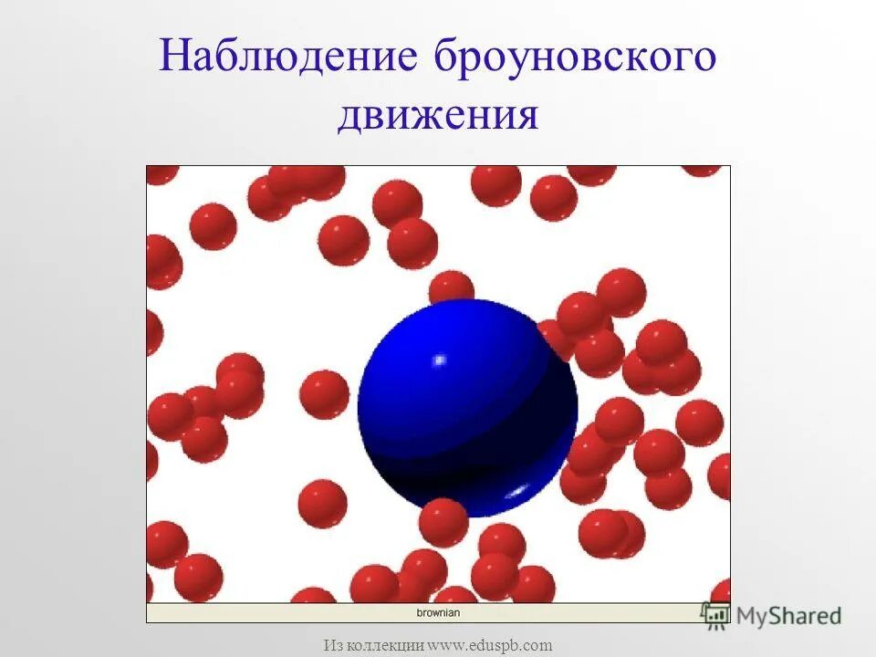 Броуновское движение физика 7 класс тест. Броуновское движение физика 7 класс тест
