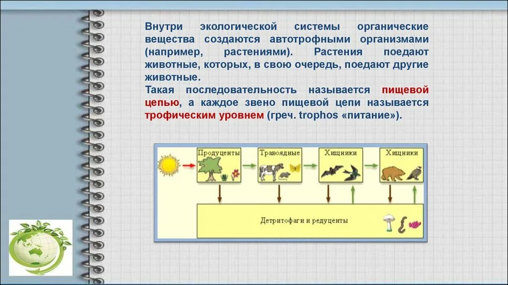 Растения производители органического вещества. Ряд пищевой цепи. Органическое вещество в пищевых цепях создают. Производители органических веществ в экосистеме. Производители органических веществ в экосистеме например.