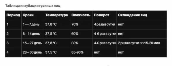 Сколько выводится яйцо в инкубаторе. Инкубация гусиных яиц в инкубаторе. Таблица вывода гусей в инкубаторе. Температура вывода гусиных яиц в инкубаторе. Таблица вывода гусят в инкубаторе в домашних.