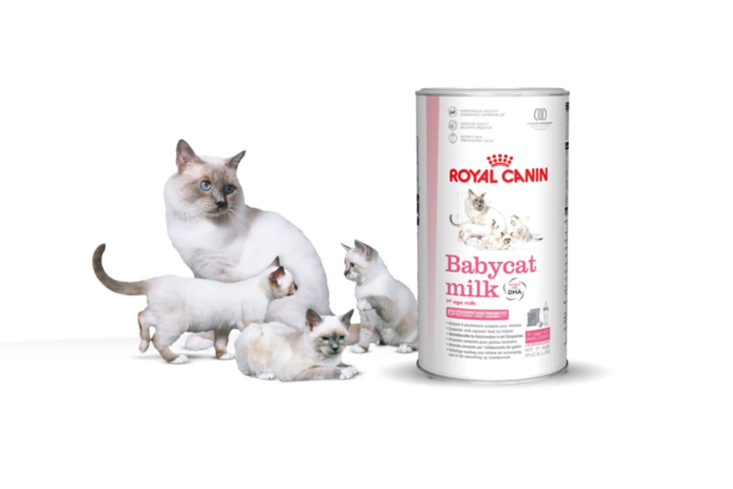 Royal canin babycat. Royal Canin Babycat Milk. Royal Canin Babycat Milk инструкция. Как разводить Royal Canin Babycat Milk. Royal Canin Babycat как разводить.