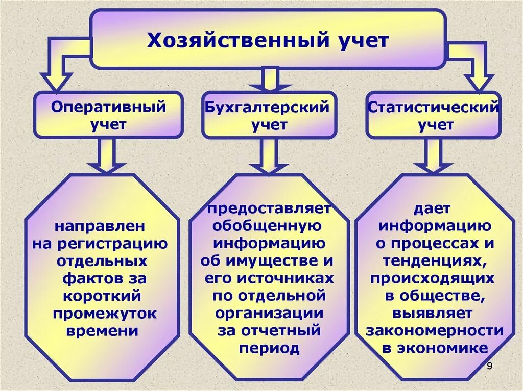 Оперативно хозяйственная деятельность организации это. Оперативный учет статистический учет бухгалтерский учет. Хозяйственный учет оперативный статистический и бухгалтерский. Виды хоз учета. Статистический бухгалтерский учет это.