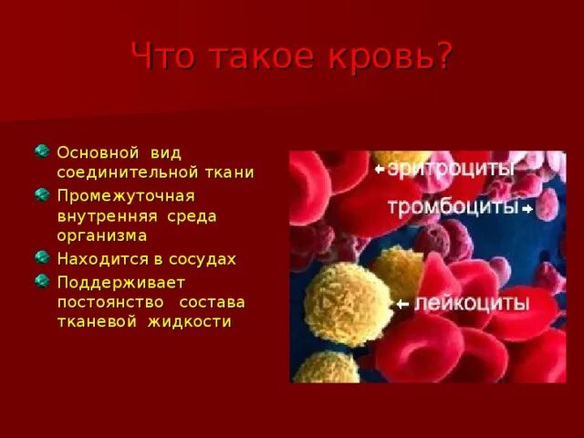 Кровь биология 11 класс. Кровь биология. Строение крови 8 класс. Состав крови.