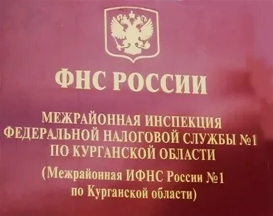 Управление Федеральной налоговой службы по Курганской области. Управление ФНС по Курганской области. ФНС Шадринск. ИФНС 2 по Курганской области.