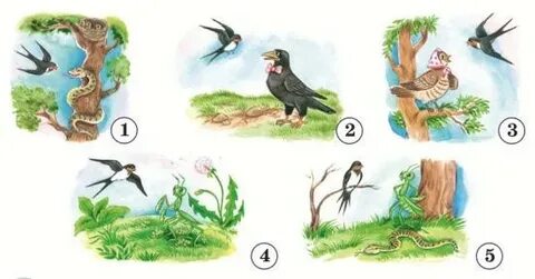 Порно анал үлкен мүшесі жетілген