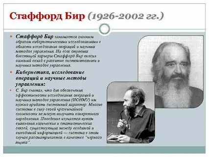 Программа бир