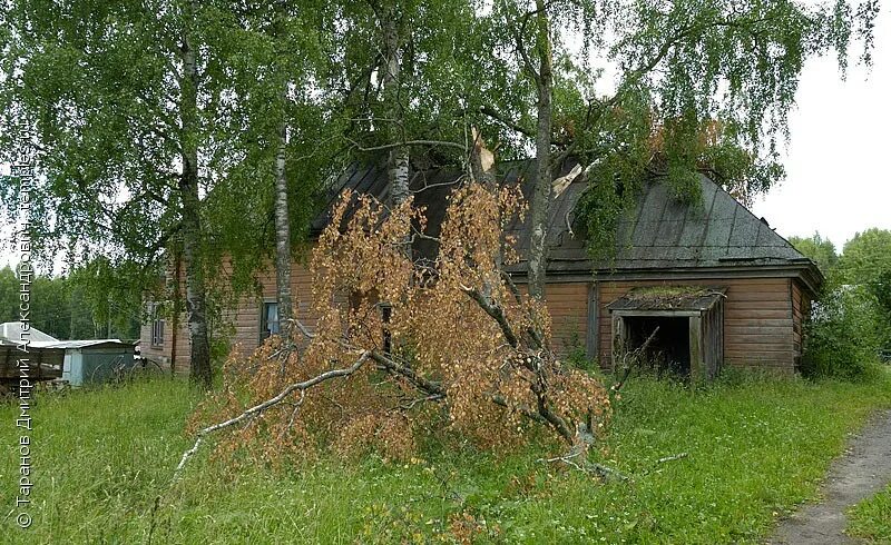 поселок северный варнавинский район. поселок северный нижегородская область варнавинский. красный луч завод варнавинский район. нижегородская обл. храмы варнавинского района.