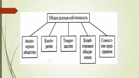 Общая долевая это