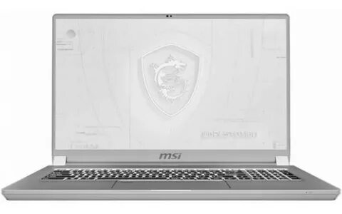 Ips 17.3 msi