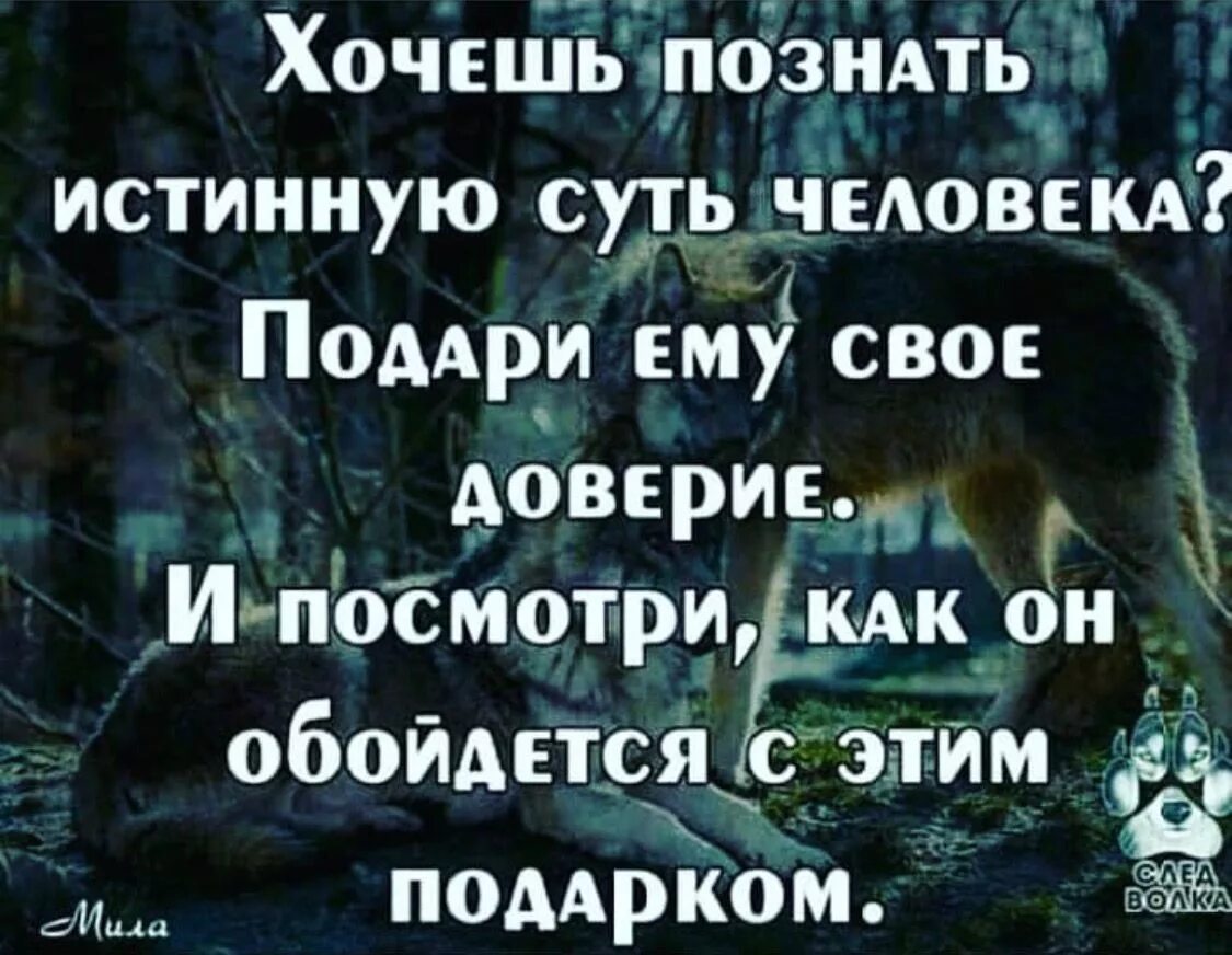 Хочу познать. Хочешь познать истинную суть человека. Хочешь познать истинную суть человека подари ему доверие. Хочешь познать истинную суть человека подари. Хочешь узнать человека подари ему свое доверие.