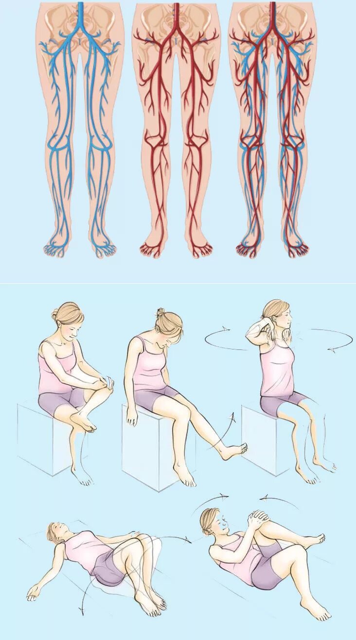 Расширение вен упражнения. Упражнения при варикозном расширении. Варикозное расширение вен гимнастика. Упражнения от варикоза на ногах. Упражнения от варикозного расширения.