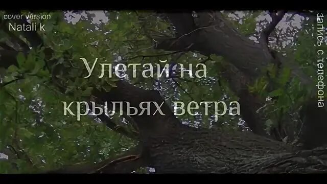 Улетай на крыльях ветра караоке.