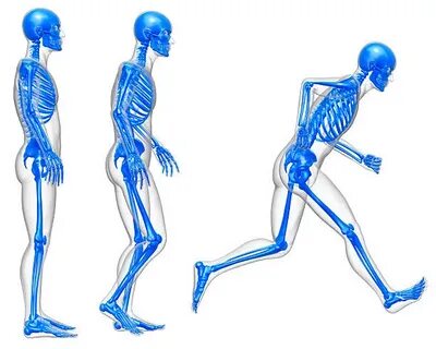 Human side