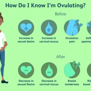 Timeline Of Pregnancy Symptoms After Ovulation.